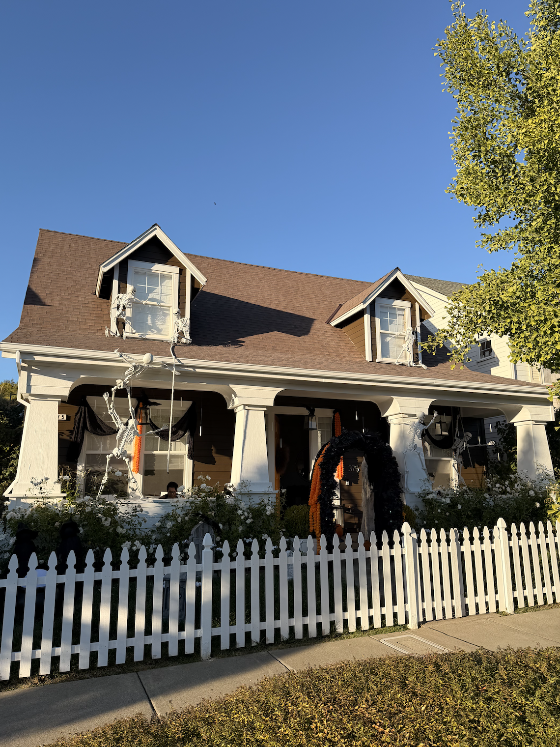 Healdsburg Best Halloween Decor